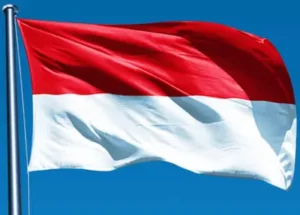 राफेल को टक्कर देगा चीन का फाइटर जेट, इंडोनेशिया खरीदने को तैयार