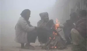 बिहार में आज से ठंड और बढ़ेगी, कोहरा करेगा परेशान
