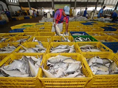 Breaking News: China: चीन-जापान तनाव से भारतीय सीफूड निर्यात को मिला उछाल