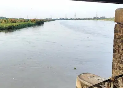 Latest Hindi News : Delhi- यमुना प्रदूषण पर दिल्ली जल बोर्ड का आरोप, हरियाणा भी जिम्मेदार