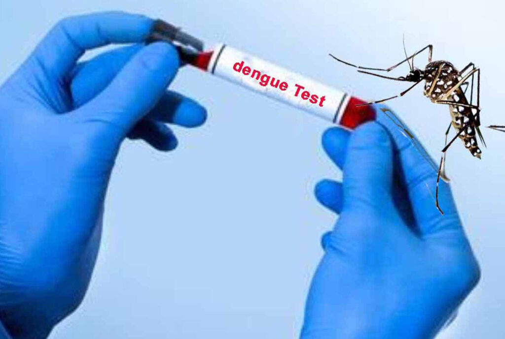 Latest Hindi News : कपूर और नारियल तेल का मिश्रण, डेंगू से बचाव का सरल उपाय