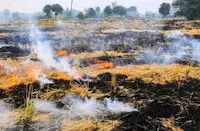 वायु गुणवत्ता आयोग सख्त, पराली जलाने वालों पर होगी कड़ी कार्रवाई