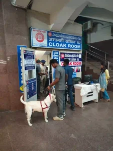 रेलवे स्टेशनों पर गहन सुरक्षा जाँच जारी, बम निरोधक दस्तें व डॉग स्क्वॉड सक्रिय