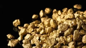 कर्नाटक की जमीन में छिपा सुनहरा खजाना