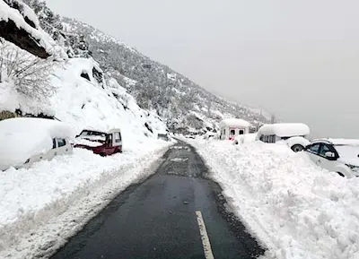 लाहौल में हिमपात से बढ़ी ठंड, मैदानी इलाकों में कोहरे और बारिश का अलर्ट