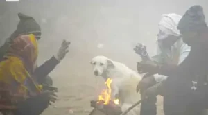 Delhi-दिल्ली-पंजाब में कोहरा और बर्फीली हवाओं से अलर्ट जारी