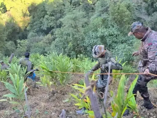 अरुणाचल