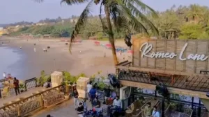 लूथरा ब्रदर्स ने दिल्ली में अग्रिम जमानत दायर