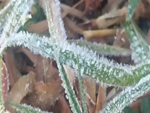 मध्य और उत्तर छत्तीसगढ़ में शीतलहर का अलर्ट