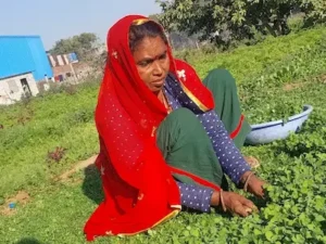 जयपुर में जहरीली सब्ज़ियाँ का पर्दाफाश