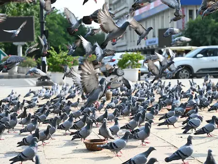 महाराष्ट्र