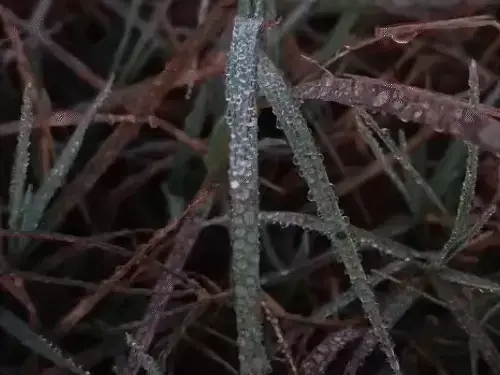 Latest News : राजस्थान में बारिश का अलर्ट