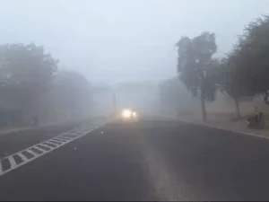 राजस्थान में नए साल पर मौसम का असर