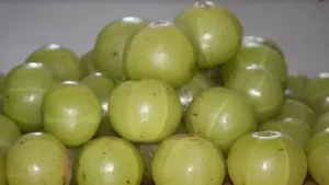 Health -आंवला सेहत का खजाना, कई बीमारियों में देता है सुरक्षा