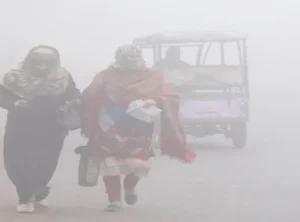 Weather- ठंड ने तोड़े रिकॉर्ड, उत्तर भारत ठिठुरा; पंजाब 1.1 डिग्री, दिल्ली अलर्ट मोड पर