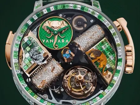 Vantara: अनंत अंबानी के ‘वनतारा’ को समर्पित ₹12.5 करोड़ की घड़ी