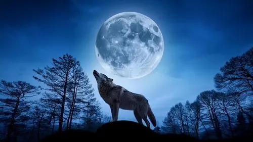 पूर्णिमा