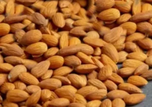 Health- कोलेस्ट्रॉल कंट्रोल से लेकर दिल की सुरक्षा तक, बादाम के फायदे