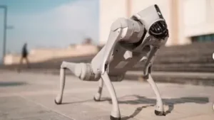 गलगोटिया यूनिवर्सिटी का ‘चीनी रोबोट’ विवाद