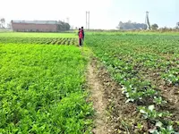 Bihar- बिहार में जमीन रजिस्ट्री के नए नियम, 1 अप्रैल 2026 से 13 दस्तावेज अनिवार्य