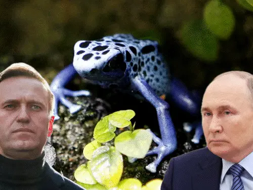 Putin: पुतिन पर ‘केमिकल वेपन’ के इस्तेमाल का आरोप