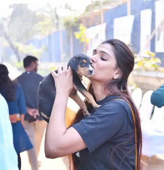 GHMC : ‘वेलेंटाइन्स डे’ पर अनोखी पहल, 30 देशी पिल्लों को मिला नया घर