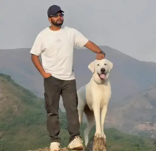 डिप्टी कलेक्टर