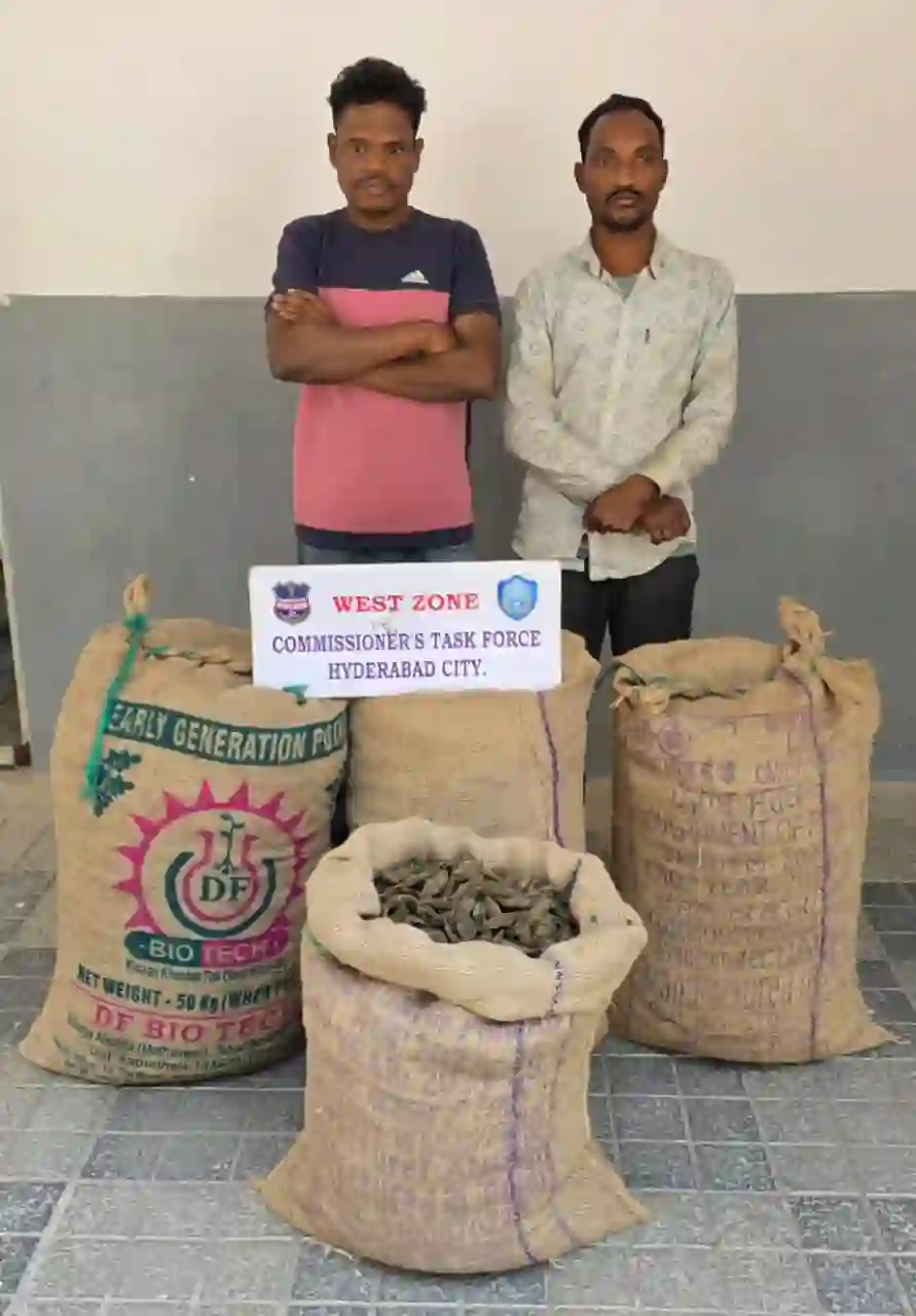 भारी मात्रा में गांजा जब्त, दो आरोपी गिरफ्तार