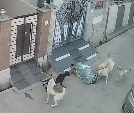 श्रीगंगानगर