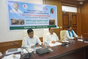 तुम्मला