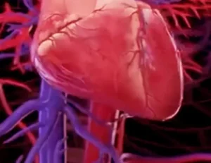 Health- प्रकृति का अनोखा गणित, फेफड़ों से पेड़ों की शाखाओं तक छिपा है रहस्य