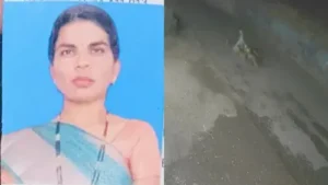 आवारा कुत्तों के हमले में महिला की मौत