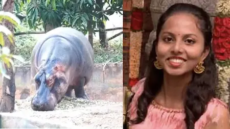 Karnataka : हिप्पोपोटामस के हमले में ट्रेनी वेटरनरी ऑफिसर की मौत
