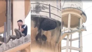 मधुमक्खियों के हमले से टंकी पर फंसा युवक