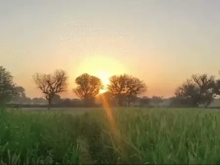 मार्च में राजस्थान में बढ़ी गर्मी, पारा 40°C के करीब