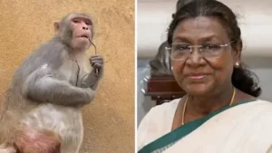 वृंदावन में बंदरों से राष्ट्रपति की सुरक्षा के लिए हाई अलर्ट