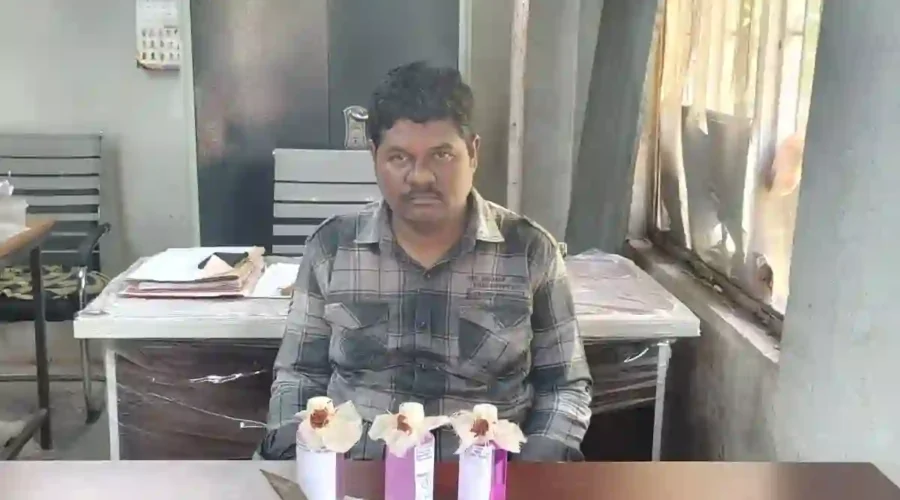 राजस्व निरीक्षक