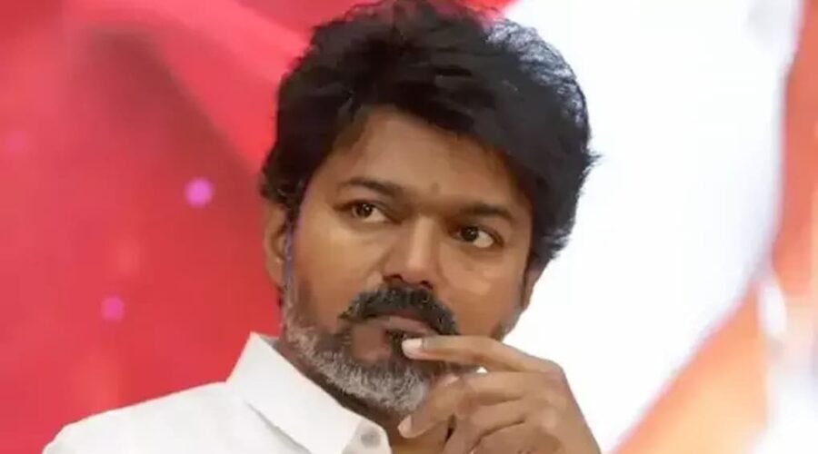 TVK Vijay affidavit case