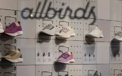 Allbirds: जूते बनाने वाली ऑलबर्ड्स अब बनाएगी AI चिप