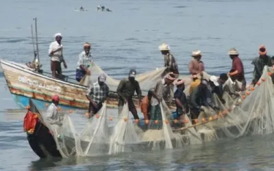 National- मछुआरों के सामने रोजी-रोटी का संकट, ठप पड़ा काम