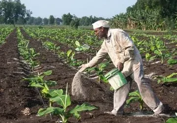 Iran: ईरान-मध्य-पूर्व संकट का असर