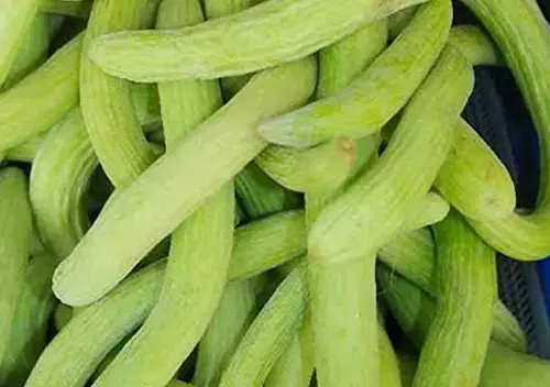 Health- गर्मियों में ककड़ी से पाएं ठंडक और सेहत का खजाना