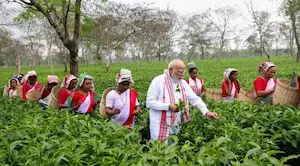 Assam- असम में पीएम मोदी, महिलाओं संग तोड़ी चाय की पत्तियां