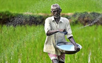 India fertilizer : उर्वरक उत्पादन में भारी गिरावट