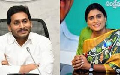 YS Sharmila Comments : शर्मिला का जगन पर हमला