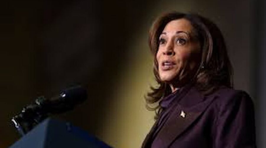 Kamala harris 2028 election