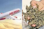 अमेरिका में गांजा के साथ पकड़ा गया एयर इंडिया का को-पायलट
