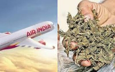 Air india pilot : अमेरिका में गांजा के साथ पकड़ा गया एयर इंडिया का को-पायलट
