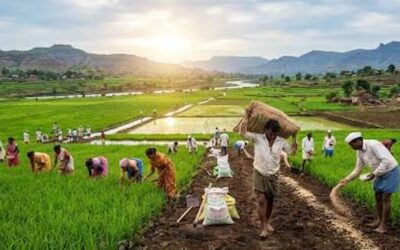 Central Cabinet Decisions : केंद्रीय कैबिनेट की बड़ी बैठक