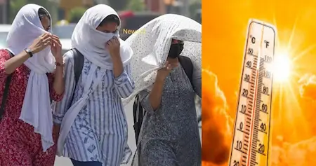 मध्य प्रदेश